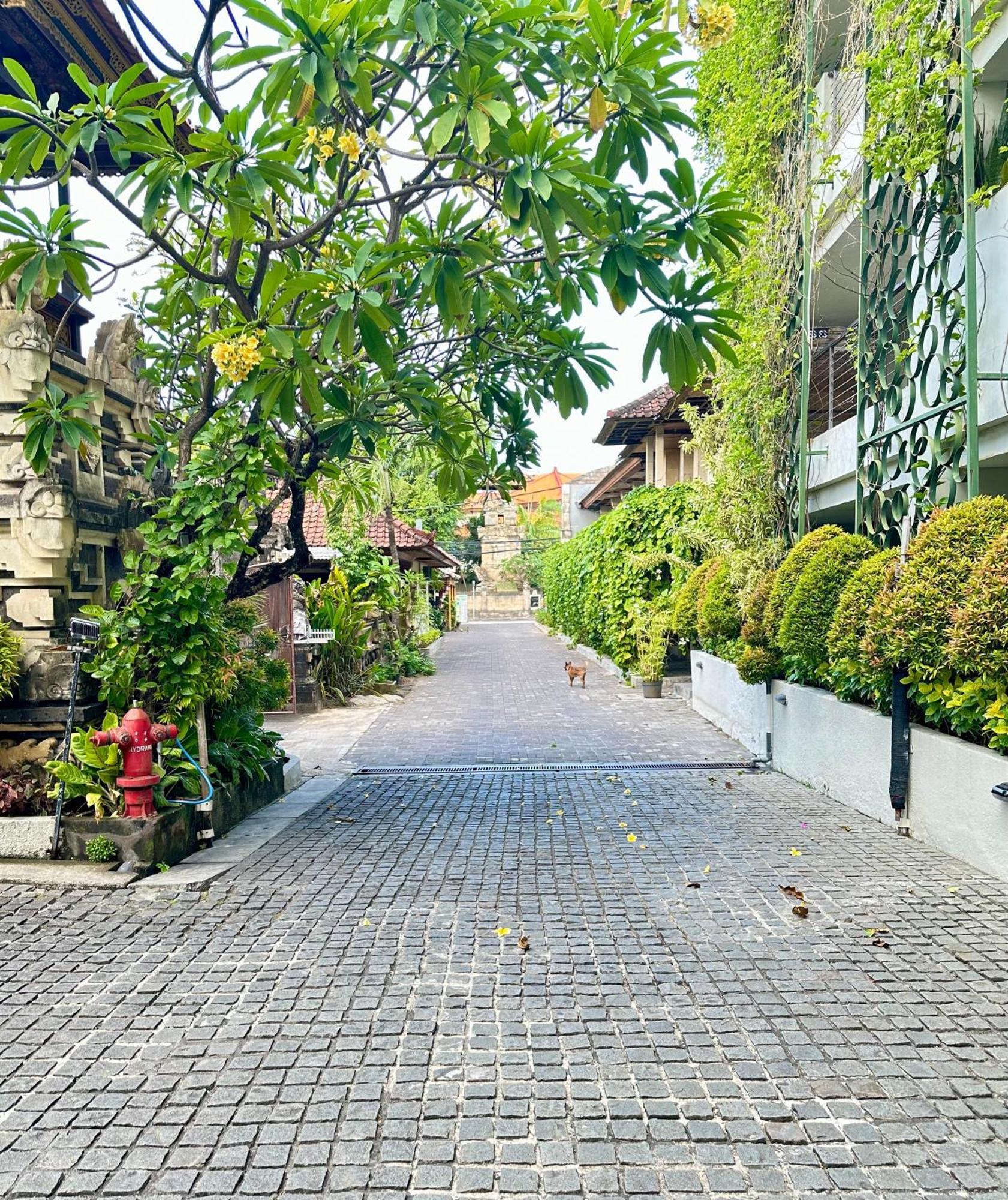 Ion Bali Benoa Hotel Нуса Дуа Екстериор снимка